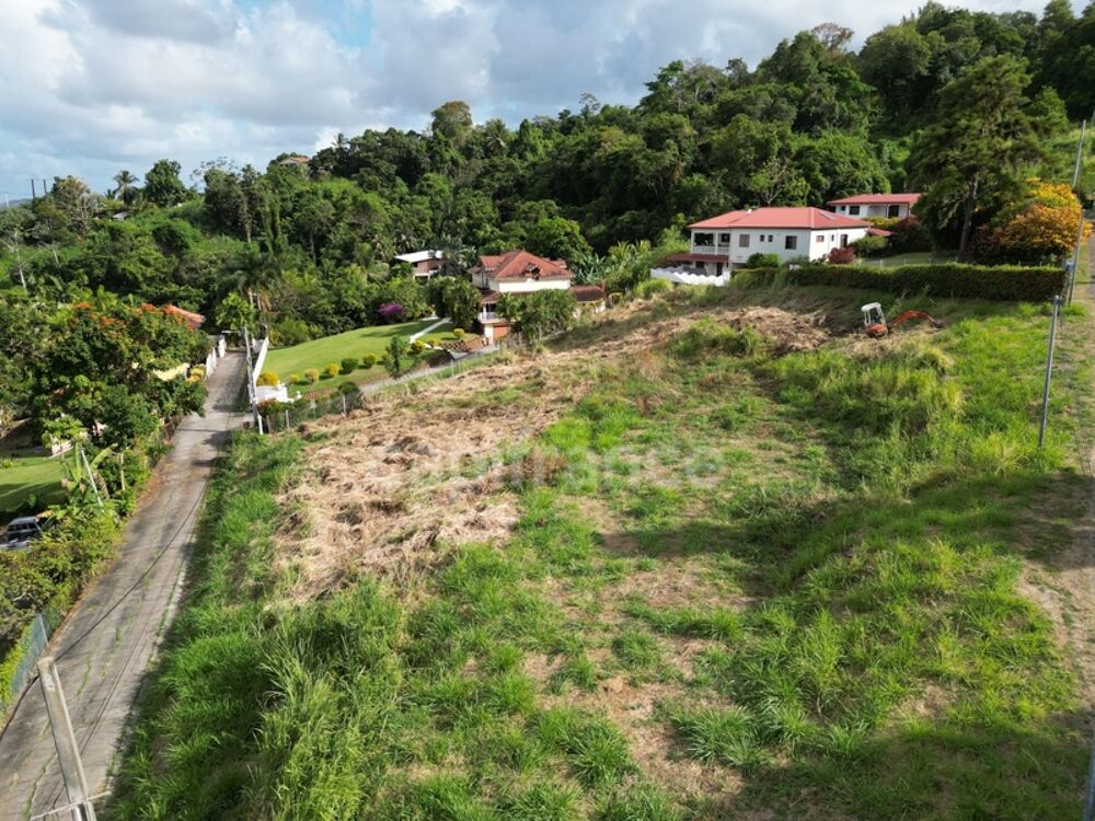 Vente Terrain A vendre Terrain de 2822m² avec vue mer - La crique - TRINITE La trinite