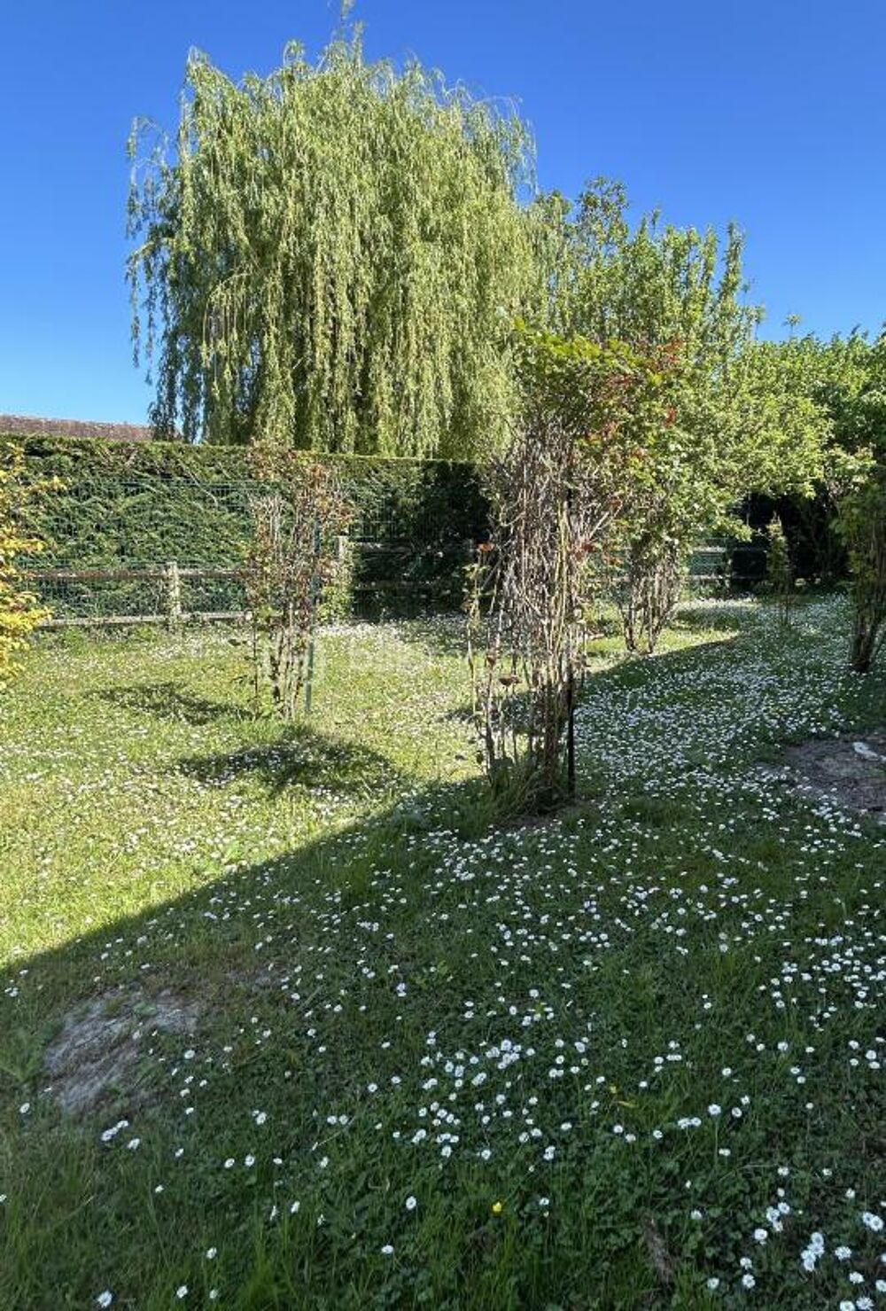 Maison de caractère avec jardin arboré  Un véritable coup de coeur aux portes de Fontainebleau et Moret sur Loing