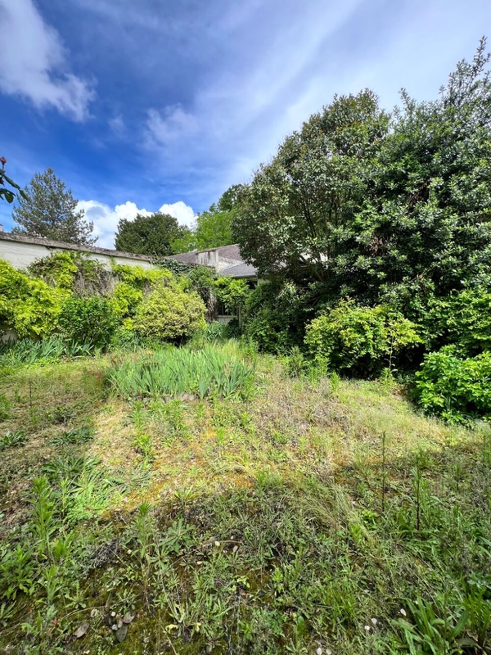 Vente Maison HYPER-CENTRE DE CHÂTELLERAULT – 170 m² – JARDIN – GARAGE – DÉPENDANCE Chatellerault