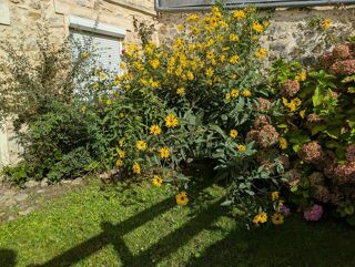  Maison � vendre 6 pi�ces 160 m�