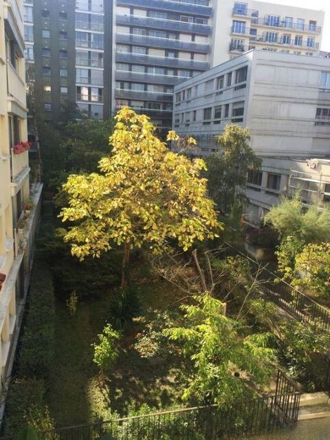  Appartement � louer 2 pi�ces 40 m�