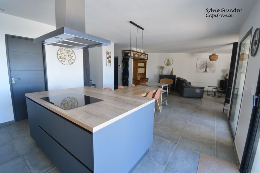 Maison contemporiane 6 pièces Piscine vue étang de l'olivier