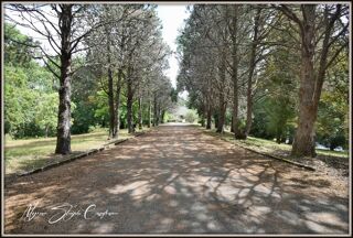  Propri�t�/ch�teau � vendre 8 pi�ces 231 m�