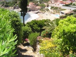  Appartement � louer 2 pi�ces 34 m�