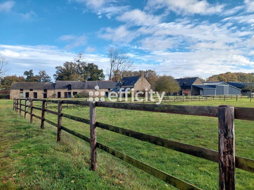 � vendre  Propri�t�/ch�teau Bonnemain (35270)