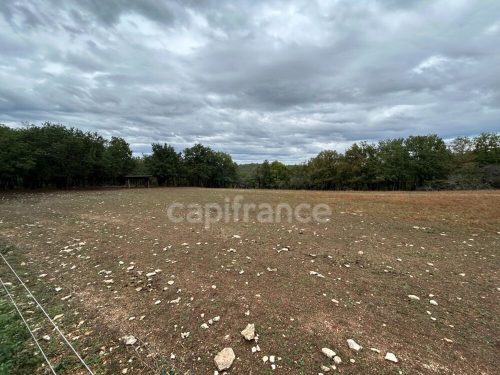 Vente Terrain Terrain à vendre  16300m² SAINT PANTALY D'EXCIDEUIL (24) Saint pantaly d excideuil