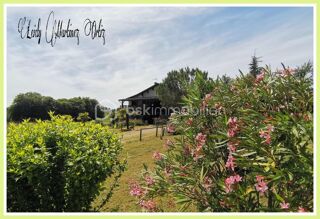  Immeuble � vendre 15 + pi�ces 300 m�