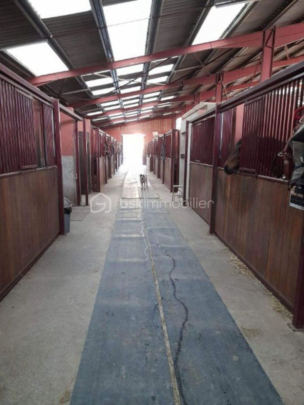 � vendre  Propri�t�/ch�teau Cabasse (83340)