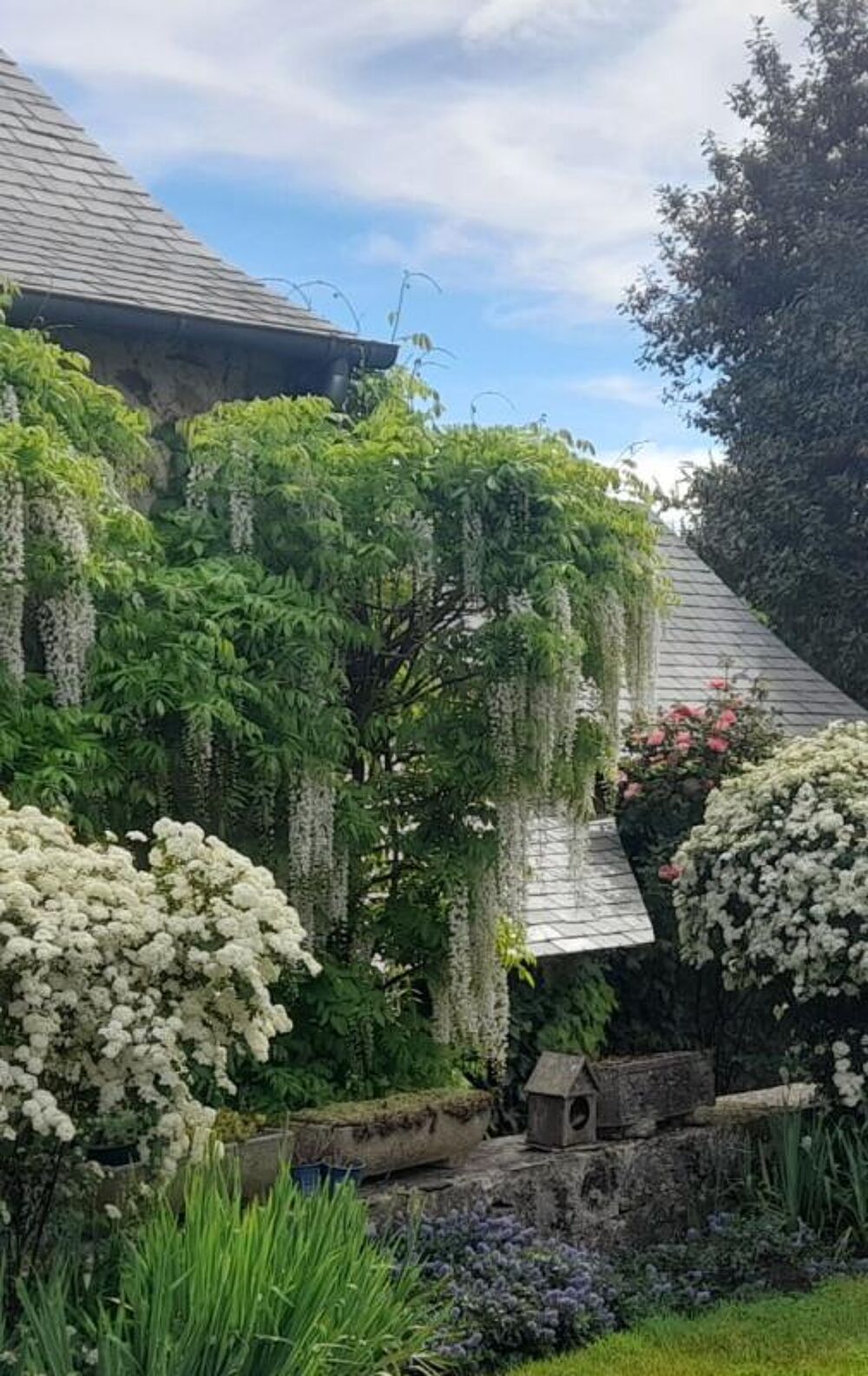 Charme et authenticité pour cette maison sur Bouère