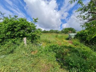 Vente Terrain 2874 m², Nieuil