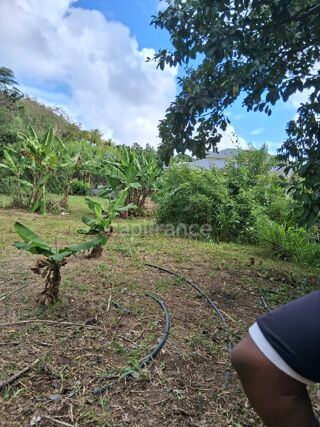  Terrain � vendre 800 m�