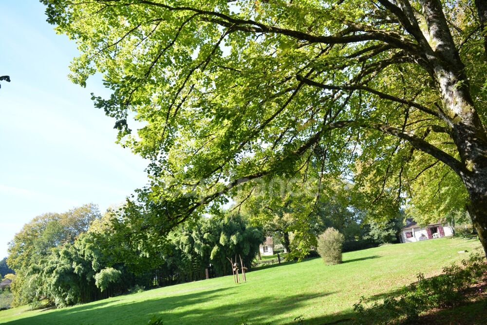 Vente Propriété/Château Propriete à vendre 17 pièces SAINT SAULGE (58) gite, chambres d'hotes ,maison de repos Saint saulge