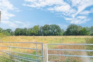  Remise / Grange � vendre 7 pi�ces 1200 m�