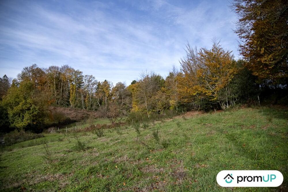 Vente Terrain Terrain agricole 3,05 ha avec sources Rouairoux