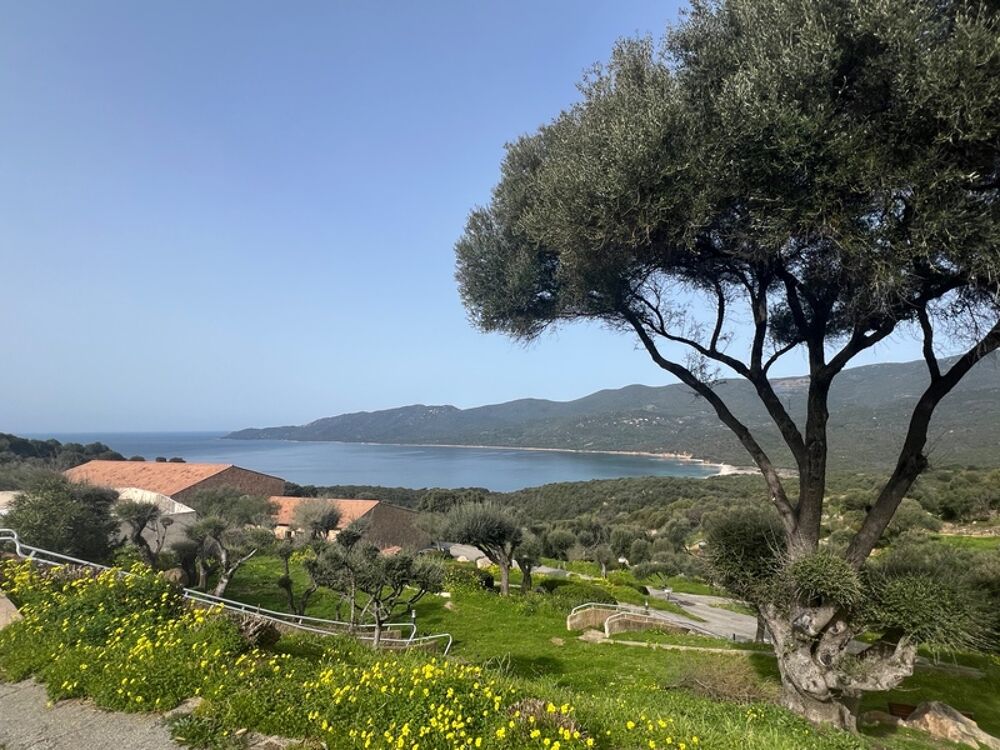 Vente Appartement Charmant T2 en Corse du Sud à SERRA DI FERRO (20) Serra di ferro