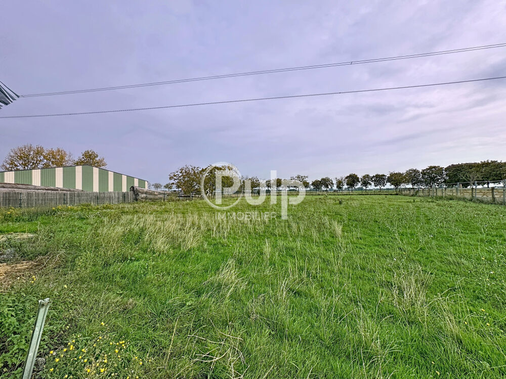 � vendre  Maison Bers�e (59235)