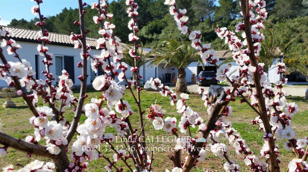 � vendre  Villa Th�zan-des-Corbi�res (11200)