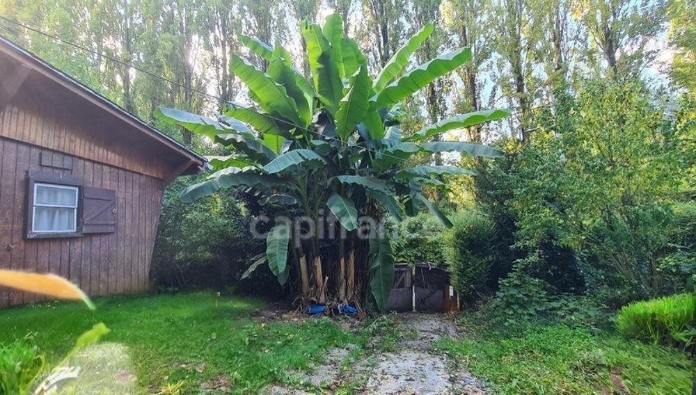 Petite propriété avec une maison et un chalet à CHALIFERT (77)