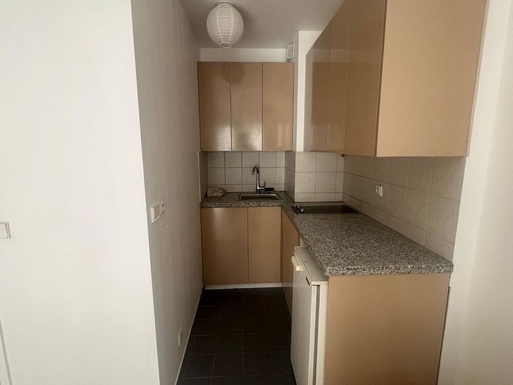 Location Appartement Studio de 27m2 à louer sur Paris 15 Paris 15