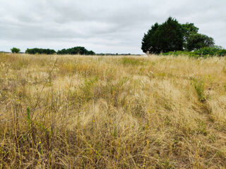  Terrain � vendre 3799 m�