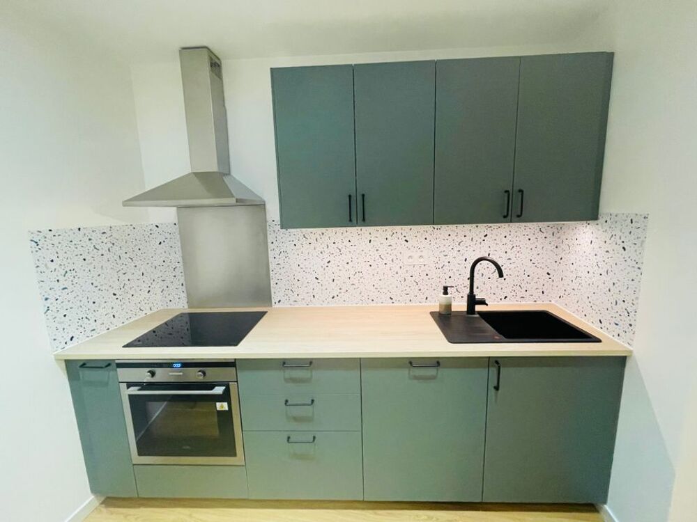 Location Appartement Appartement de 75m2 à louer sur Vernaison Vernaison