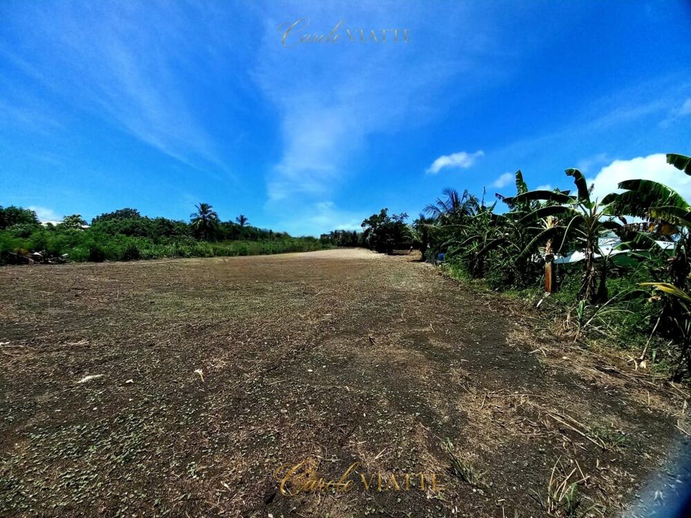 Vente Terrain Terrain plat constructible + 2000M2, proche mer à vendre  SAINT FRANCOIS (971) Saint francois