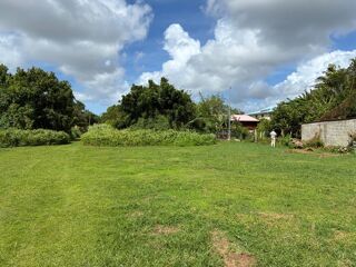  Terrain à vendre 4777 m²