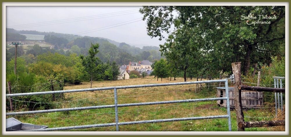 Vente Terrain Dpt Sarthe (72), à vendre SAINT GERMAIN D'ARCE terrain agricole 5630 m2 Saint germain d arce