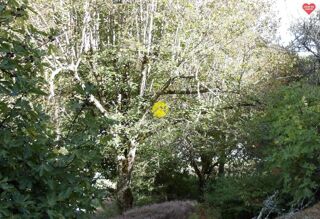  Maison � vendre 3 pi�ces 57 m�