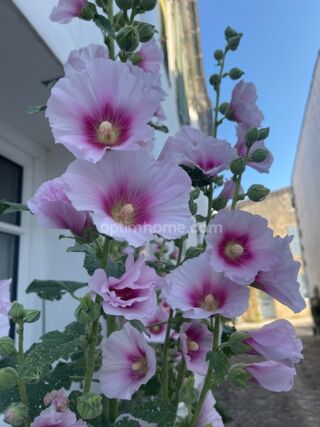  Maison � vendre 7 pi�ces 149 m�