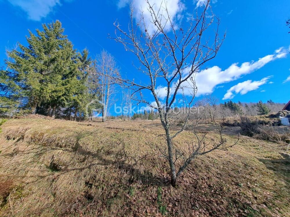 Maison au coeur du village, au calme, avec beau terrain 800 m2