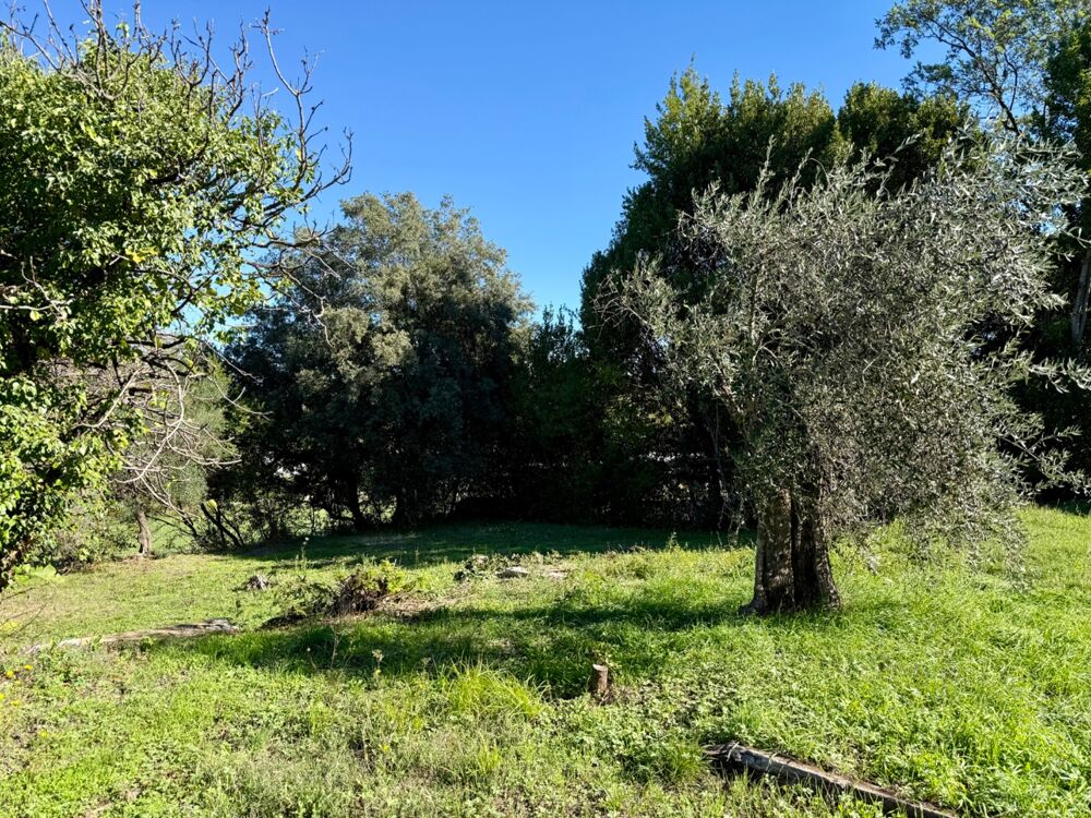 Vente Terrain Terrain à vendre de 1 042,00 m² ALES (30) Ales