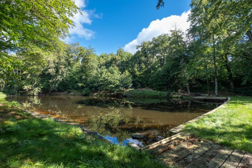 Vente Propriété/Château Propriété Ambazac