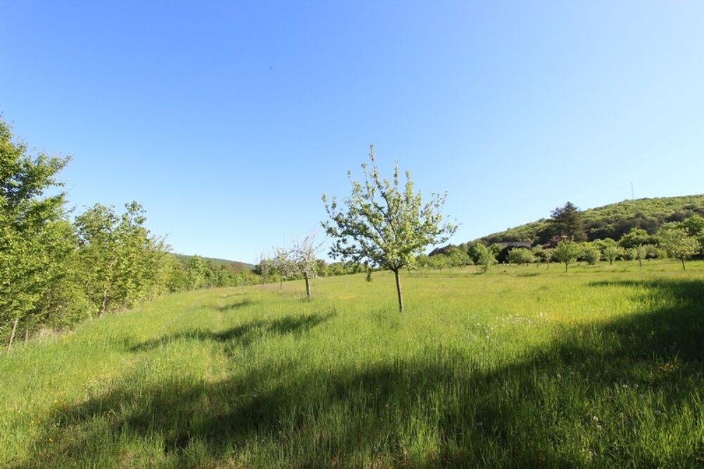 Vente Terrain Terrain à vendre de 4 015,00 m² dont 870 m² constructibles LA BUSSIERE SUR OUCHE (21) La bussiere sur ouche