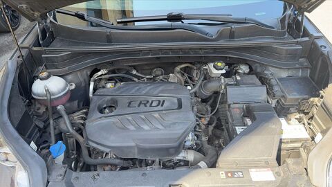 Sportage 1.6 CRDI 136 Buisness 2022 occasion 38000 Grenoble