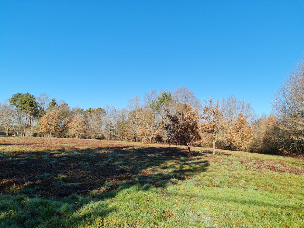 Vente Terrain 24400 entre Mussidan et Montpon  Terrain  de 11408 m² dont  constructible 4000m ² Mussidan