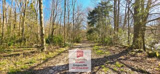  Terrain � vendre 96594 m�