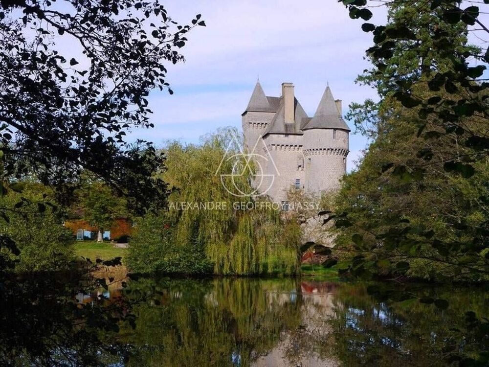 Splendide Château Médiéval Classé - Château se distingue par son élégance sur un domaine denviron 13 hectares mêlant bois, prai