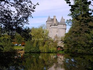  Propriété/château à vendre 15 + pièces 3000 m²