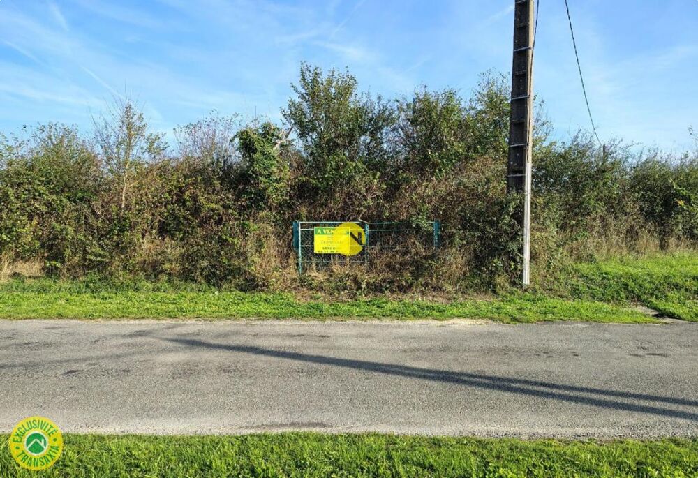Vente Terrain A 30 mn de Nevers Mornay sur allier