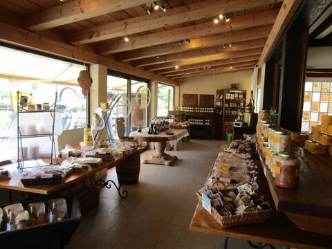 Tr&egrave;s belle boutique de 200m&sup2; avec terrain 370000 24250 La roque gageac