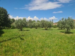  Terrain � vendre 791 m�
