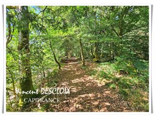  Terrain à vendre 19965 m²