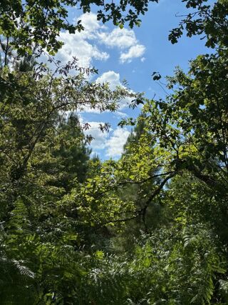  Terrain � vendre 71120 m�