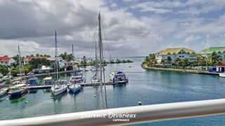  Immeuble � vendre 15 + pi�ces 1130 m�