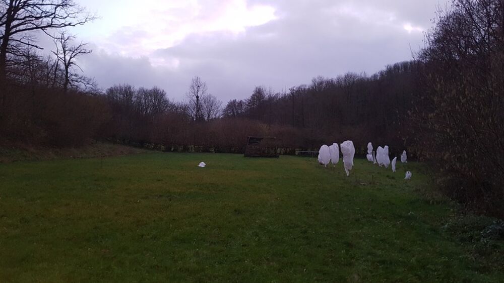 Vente Maison Corps de ferme � r�nover sur un terrain de 13.000 m� Fenioux