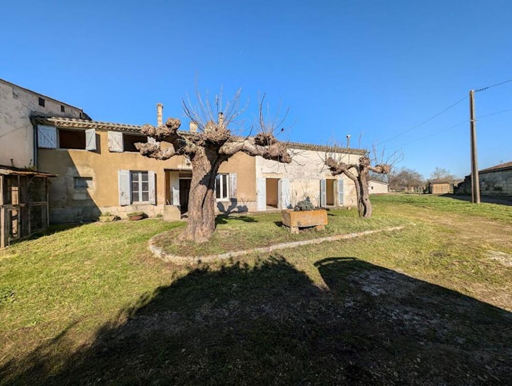 Maison en Pierre avec 1700 m2 de terrain