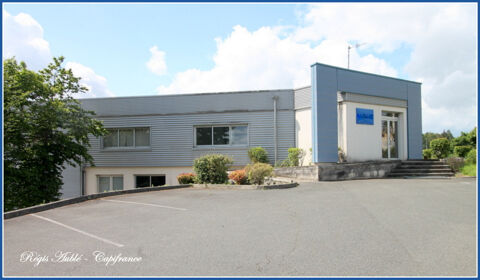   Dpt Sarthe (72), à vendre Local industriel avec bureaux  proche du MANS-CHANGE 