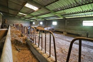  Remise / Grange � vendre 5 pi�ces 350 m� Saint leger magnazeix