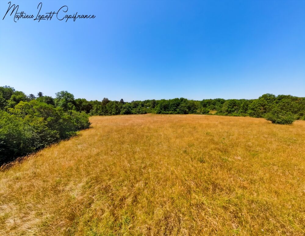 Vente Terrain Terrain à vendre de 13 200,00 m² CUBJAC (24) Cubjac